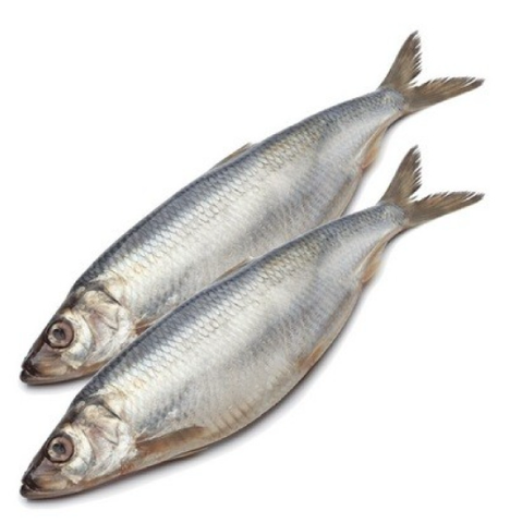 Оселедець нерозібраний спеціального соління, слабкосолоний, 300г+, ДСТУ 8095, 1 кг